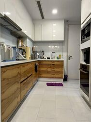 Helios Residences (D9), Apartment #507794671